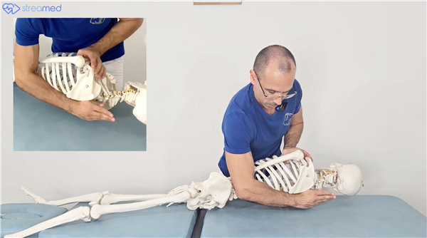 Rib Manipulations: Functional Diagnosis and Chiropractic HVLA Techniques (Dr. Filippo Zanella) - Streamed Stand C14